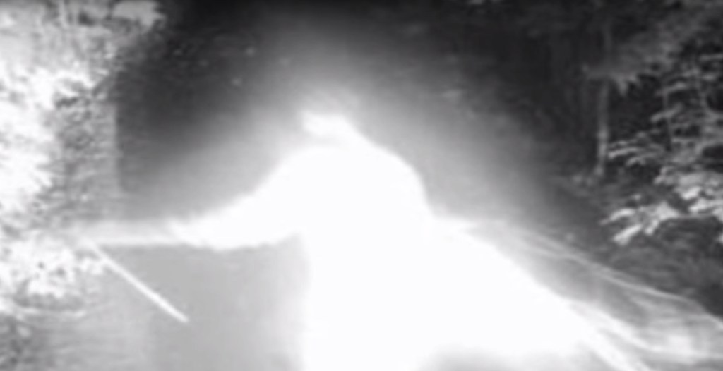 Ein Bild einer Infrarotkamera zeigt einen Geist.