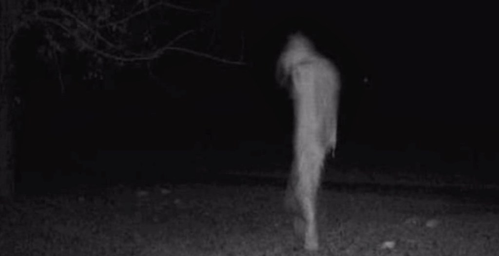 Eine unheimliche Gestalt, von einer Nachtsichtkamera gefilmt.