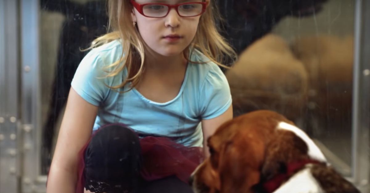 Ein Mädchen beobachtet eine Hündin in einem Tierheim.