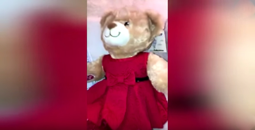 Teddy.
