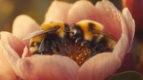 Zwei Bienen in einer Blume. (KI-generiert)