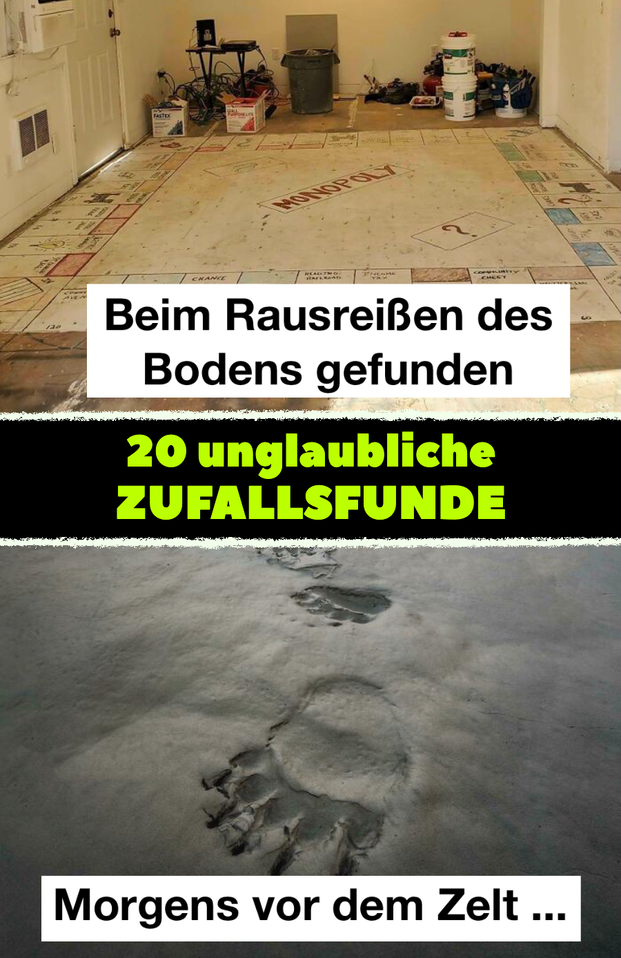 Seltene Schätze: 19 Bilder von Zufallsfunden