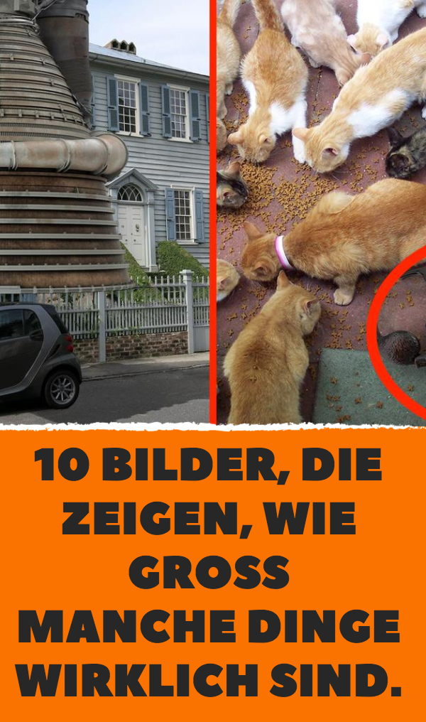 10 Bilder, die zeigen, wie groß manche Dinge wirklich sind.