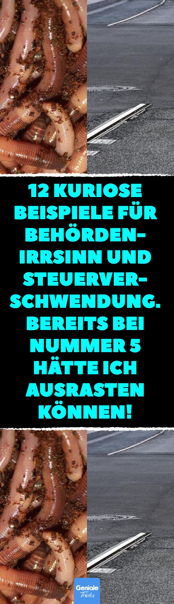 12 Beispiele für Behördenblödsinn.