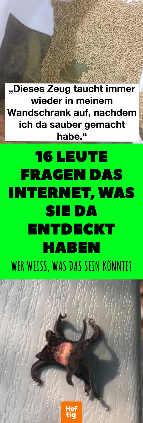 15 Leute fragen das Internet, was sie da entdeckt haben