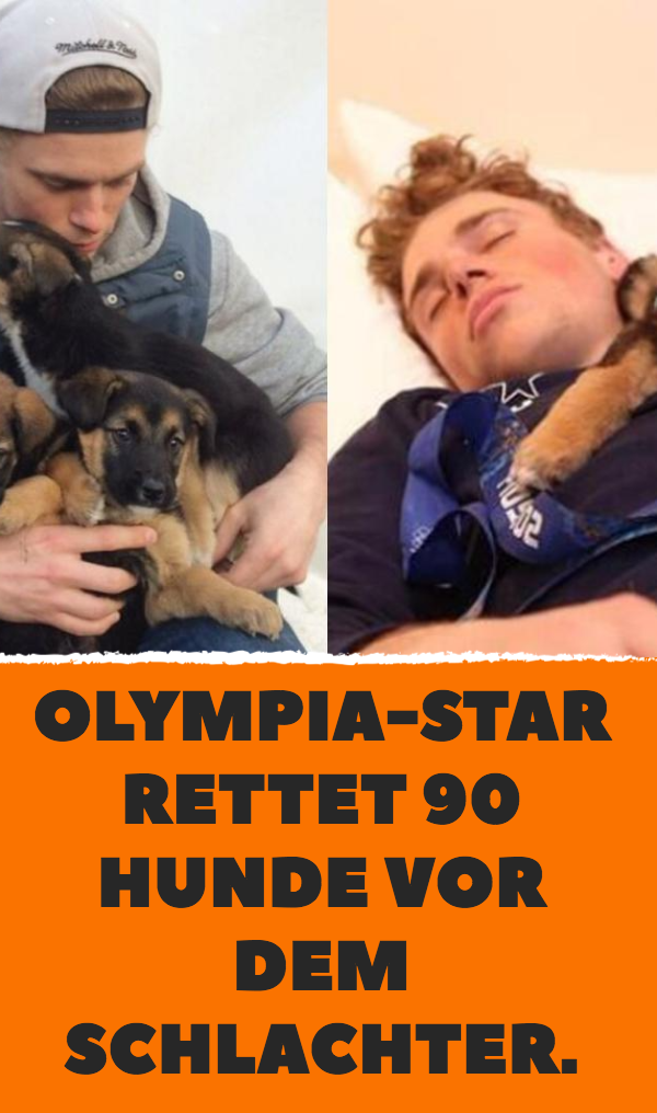 Tierrettung: Sportler bekommt von Schlachter 90 Hunde