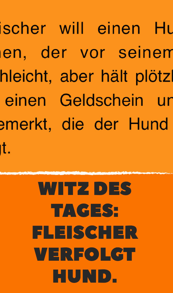 Witz des Tages: Fleischer verfolgt Hund