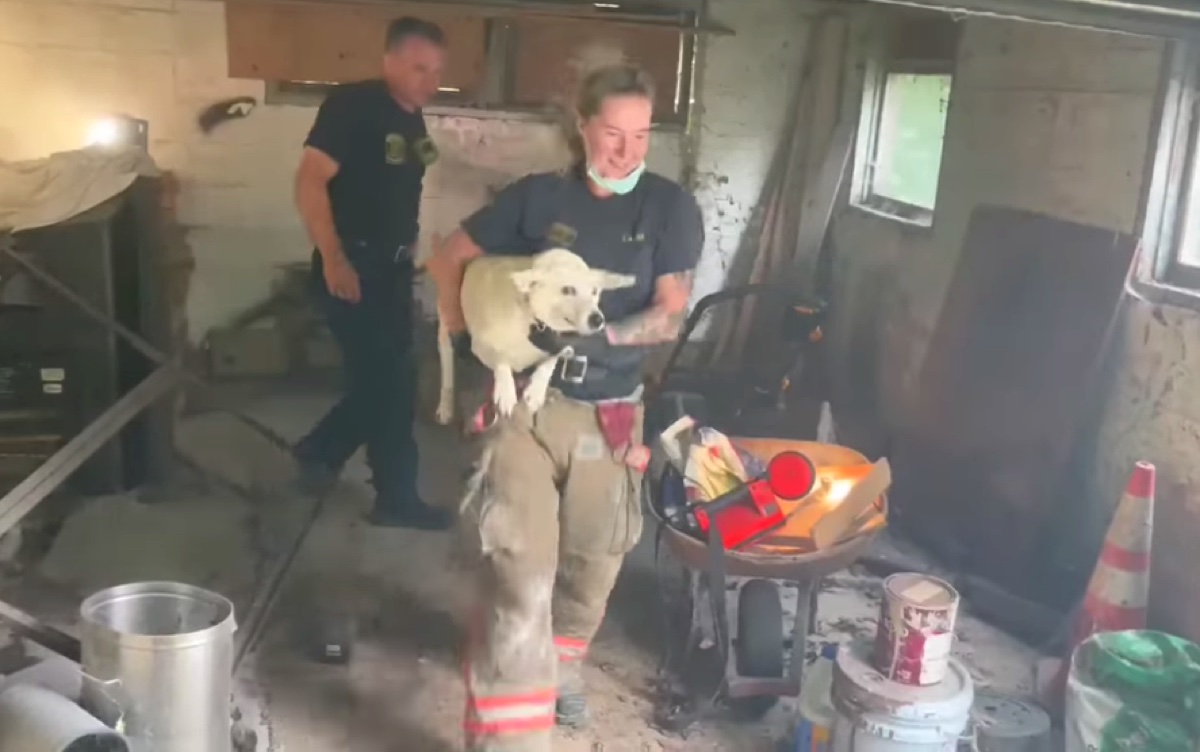 Eine Frau von der Feuerwehr trägt eine Hündin aus einer Garage nach draußen.