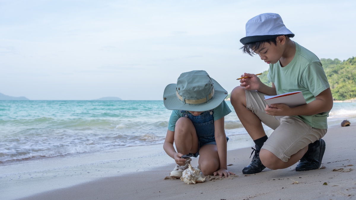 Zwei Kinder untersuchen eine Muschel am Strand mit einer Lupe.