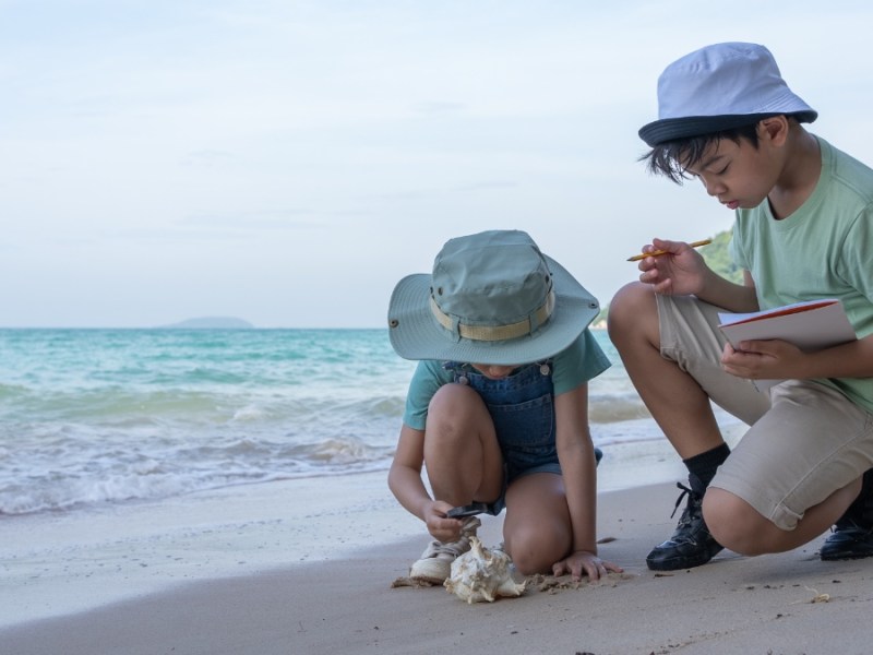 Zwei Kinder untersuchen eine Muschel am Strand mit einer Lupe.