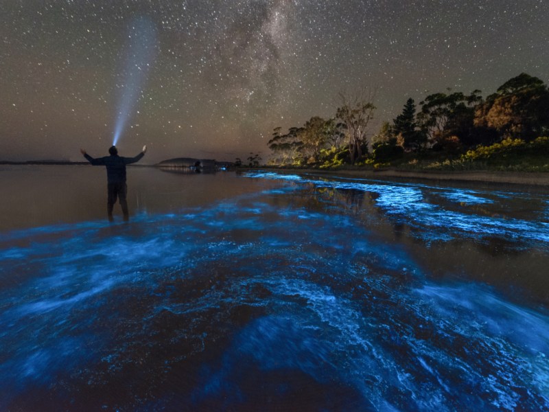 Ein Mann steht nachts an einem Strand in einem Meer aus leuchtendem Plankton.
