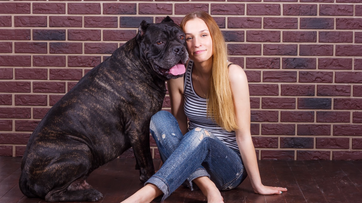 Eine junge Frau sitzt neben einem Cane- Corso-Hund vor einer Ziegelwand.