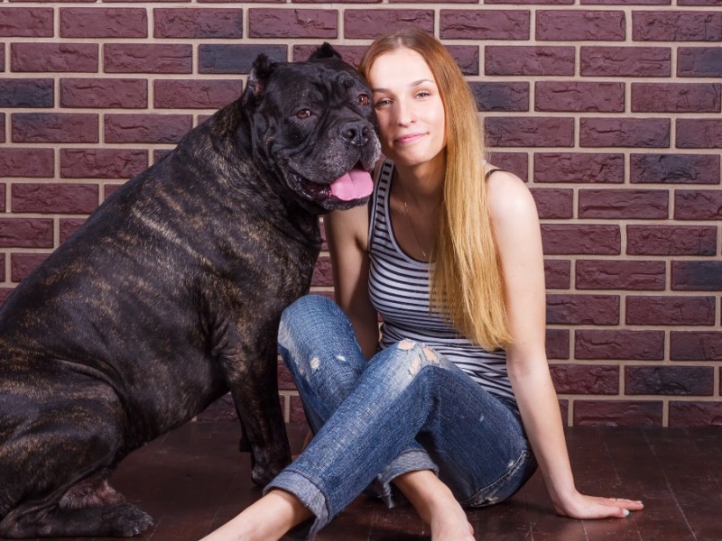 Eine junge Frau sitzt neben einem Cane- Corso-Hund vor einer Ziegelwand.