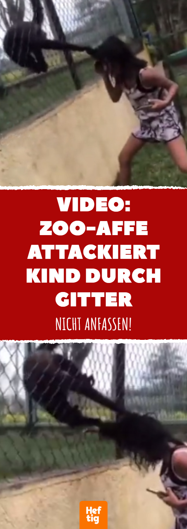 Video: Zoo-Affe attackiert Kind durch Gitter