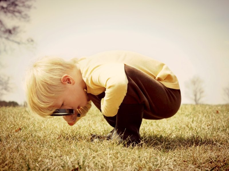 Ein kleiner Junge sucht forschend den Boden mit einer Lupe ab.