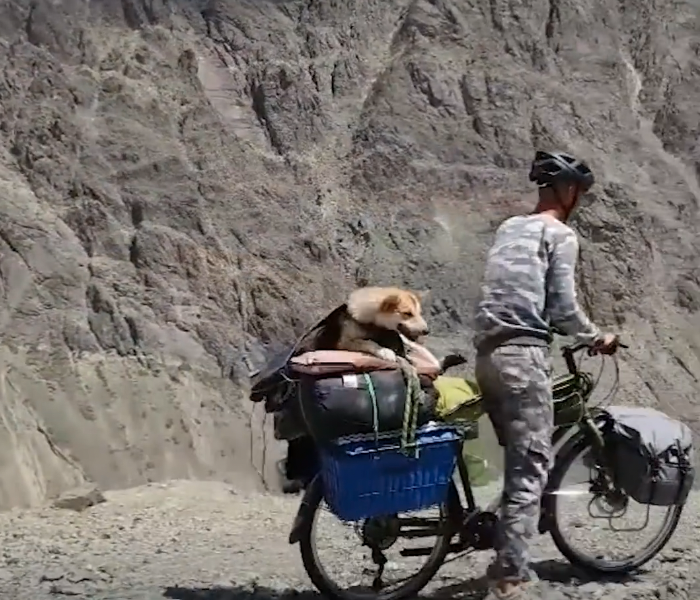 Ein Mann nimmt seinen Hund mit auf einer Radtour