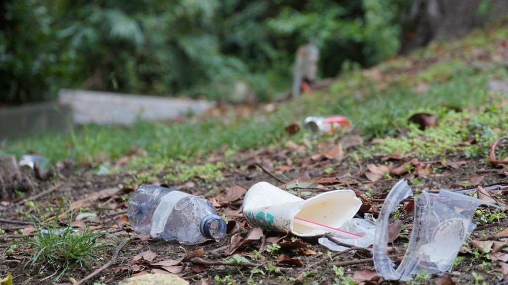 Plastikflaschen, Pappbecher und anderer Müll liegen auf einem Rasen.