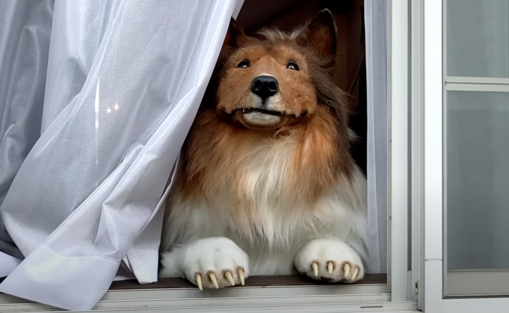 Ein Mann in einem Hundekostüm sitzt am offenen Fenster, lehnt auf dem Fensterbrett und schaut hinaus.