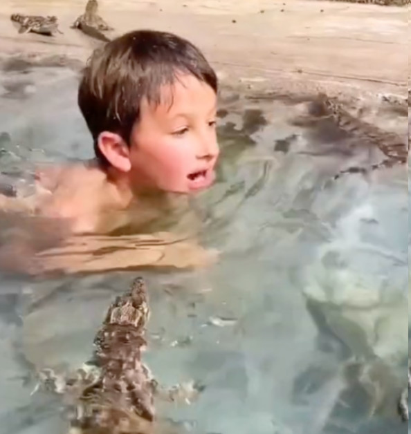 Rex Dinkelman holt, von Krokodilen umgeben, Luft, um im Wasser des Schwimmbeckens unterzutauchen.