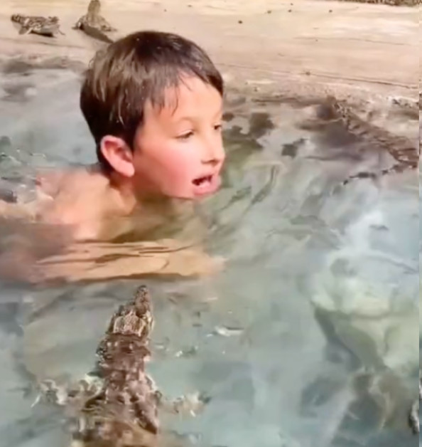 Rex Dinkelman holt, von Krokodilen umgeben, Luft, um im Wasser des Schwimmbeckens unterzutauchen.