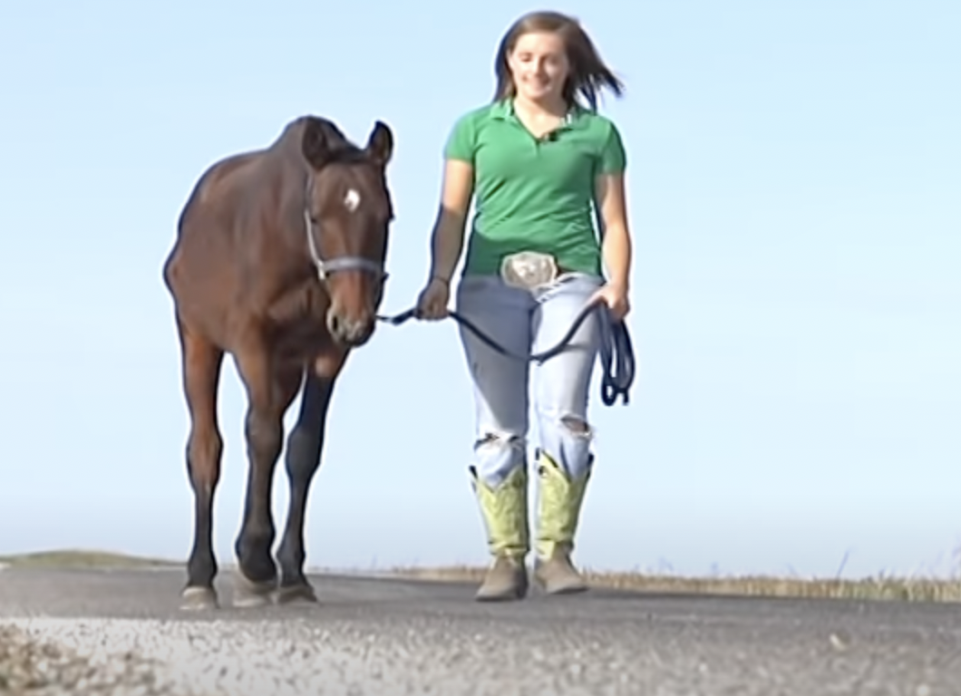 Kelsey Allonge führt Pferd die Straße entlang