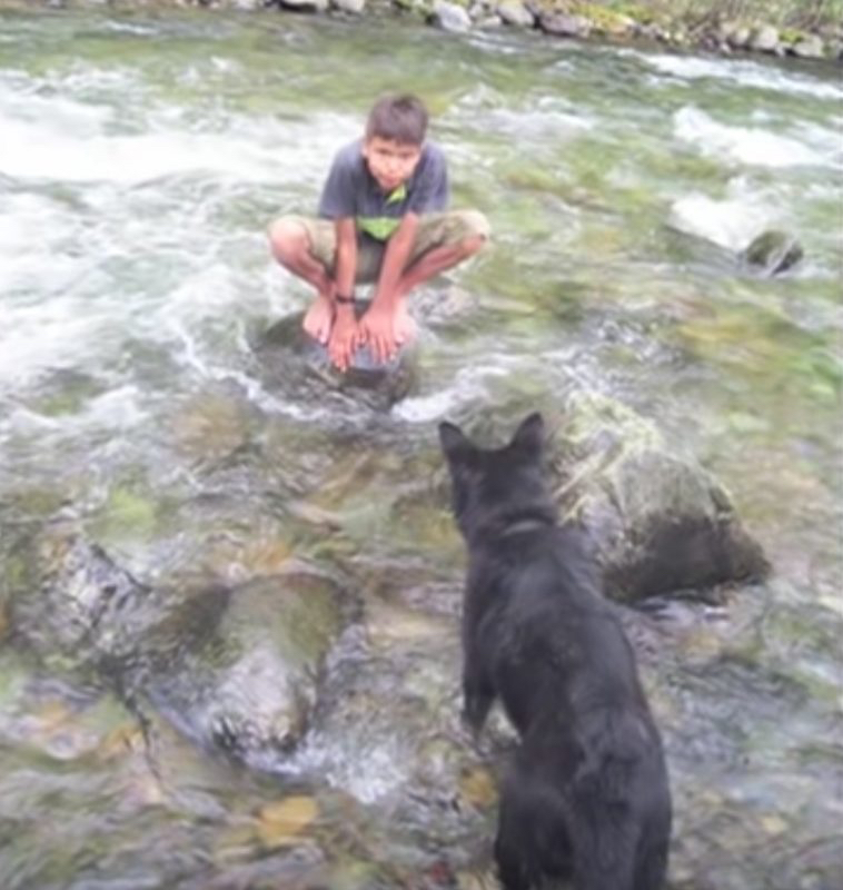 Ein Junge spielt mit seinem Hund im Fluss.