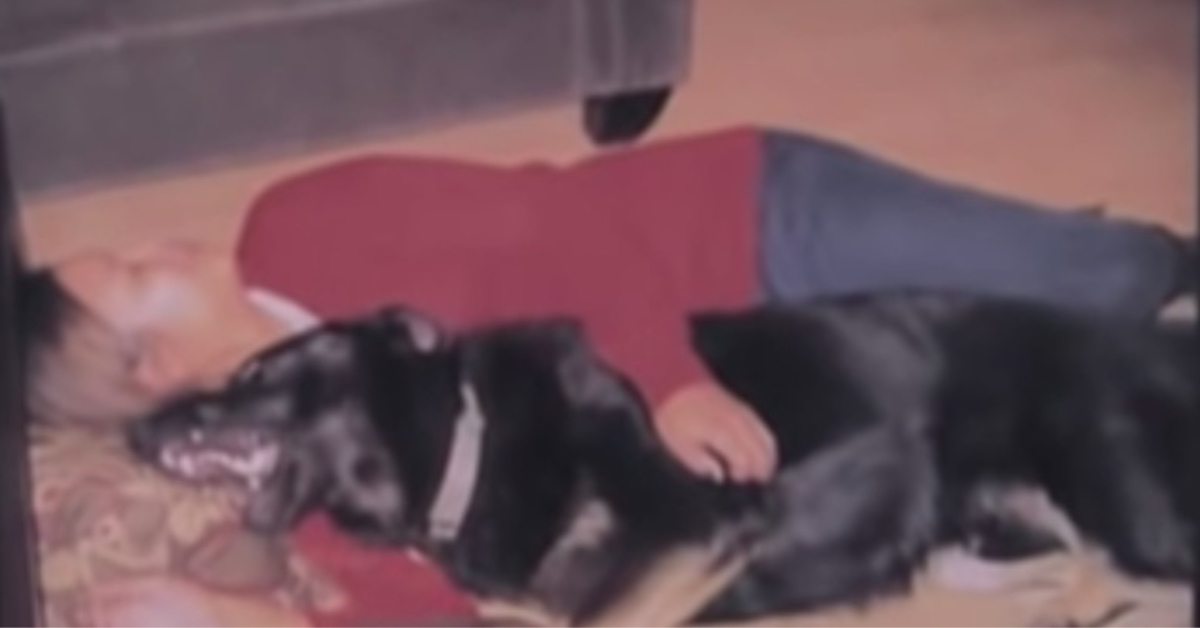 Eine Frau kuschelt mit ihrem Hund auf dem Boden