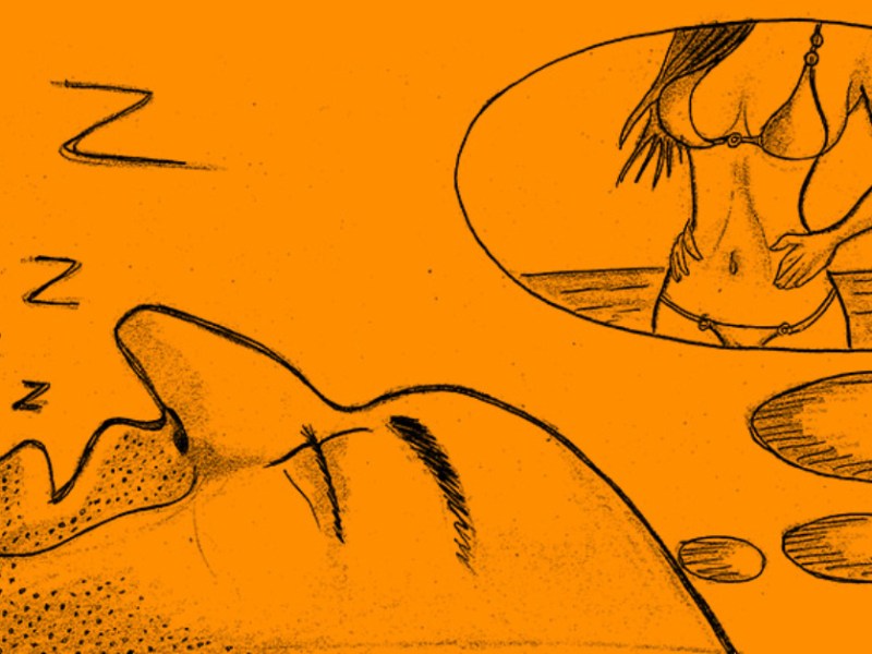 Eine Zeichnung von einem Mann, der von einer Frau im Bikini träumt.