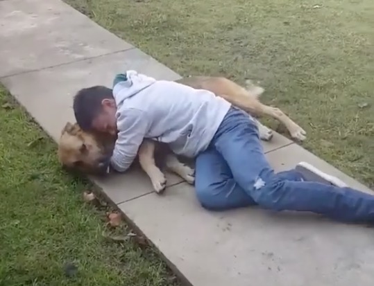 Junge kuschelt mit Hund