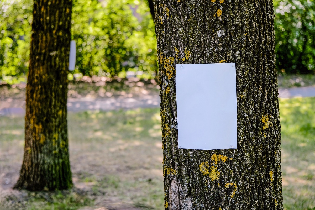 Eine Vermisst-Meldung hängt an einem Baum in einem Park.