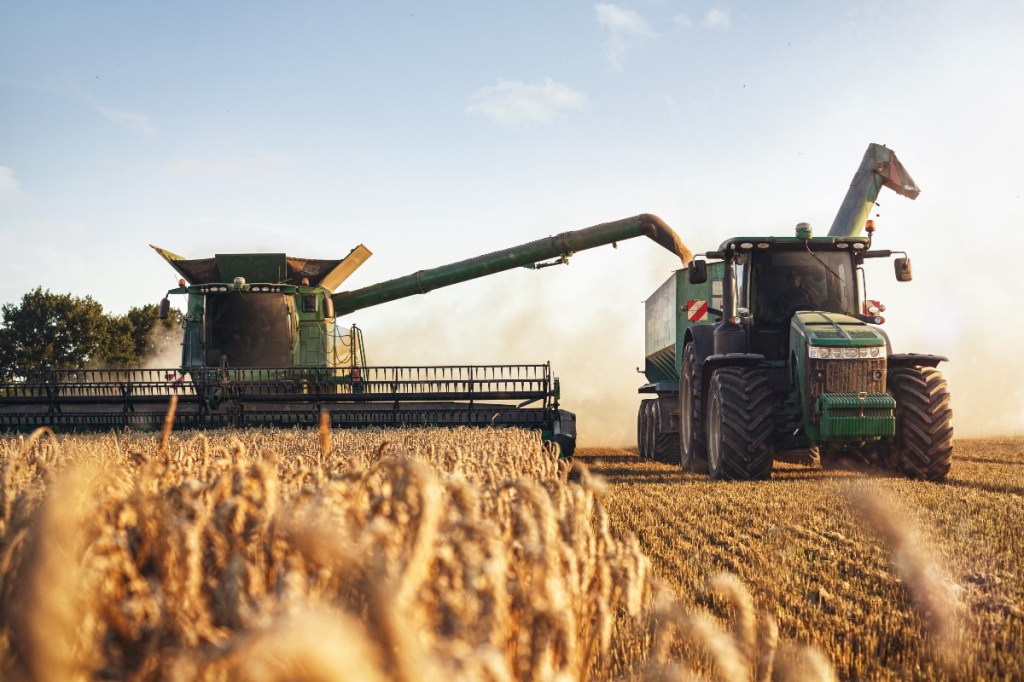 Mähdrescher und Traktor bei der Ernte auf einem Weizenfeld.