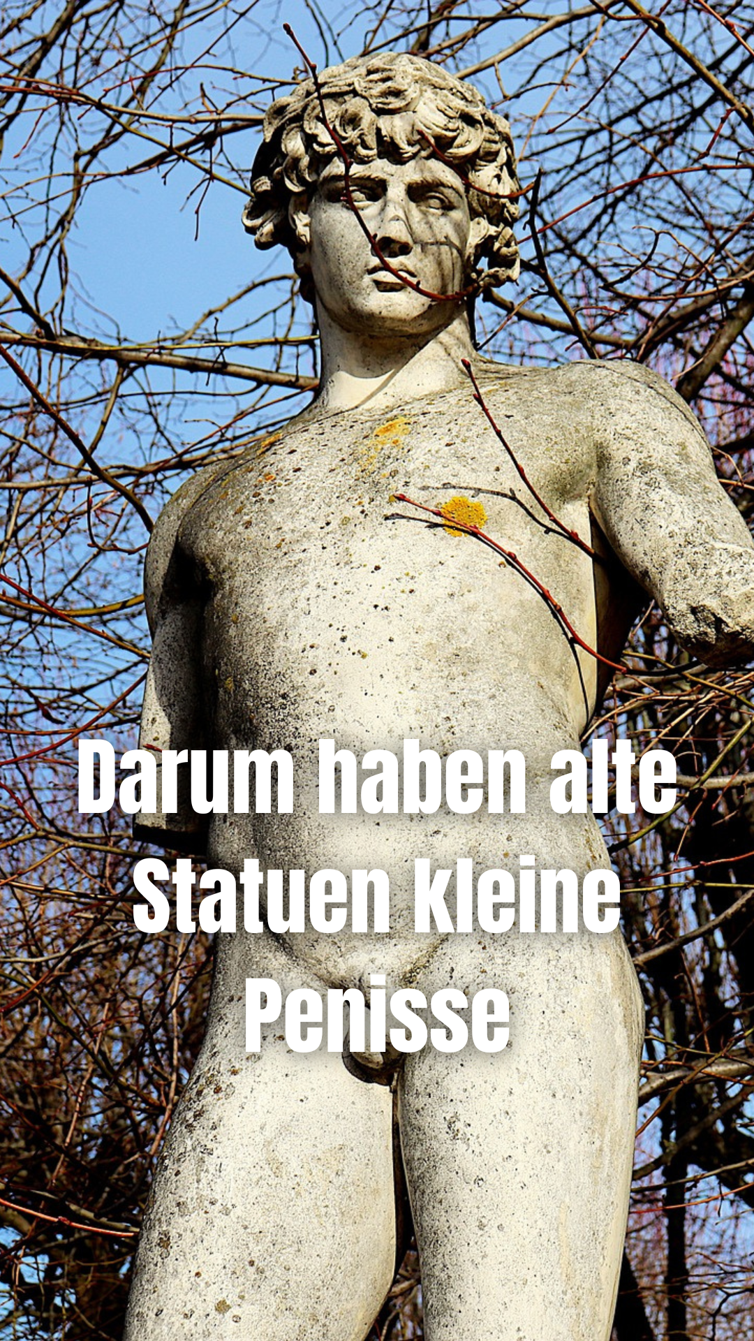 Darum haben alte Statuen kleine Penisse