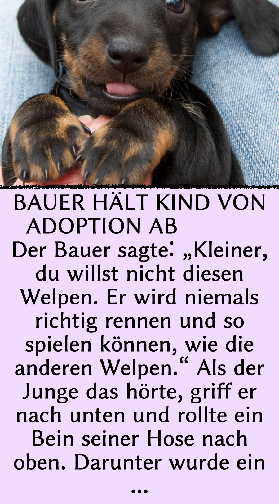 Bauer will Jungen von Adoption abhalten – und lernt Lektion