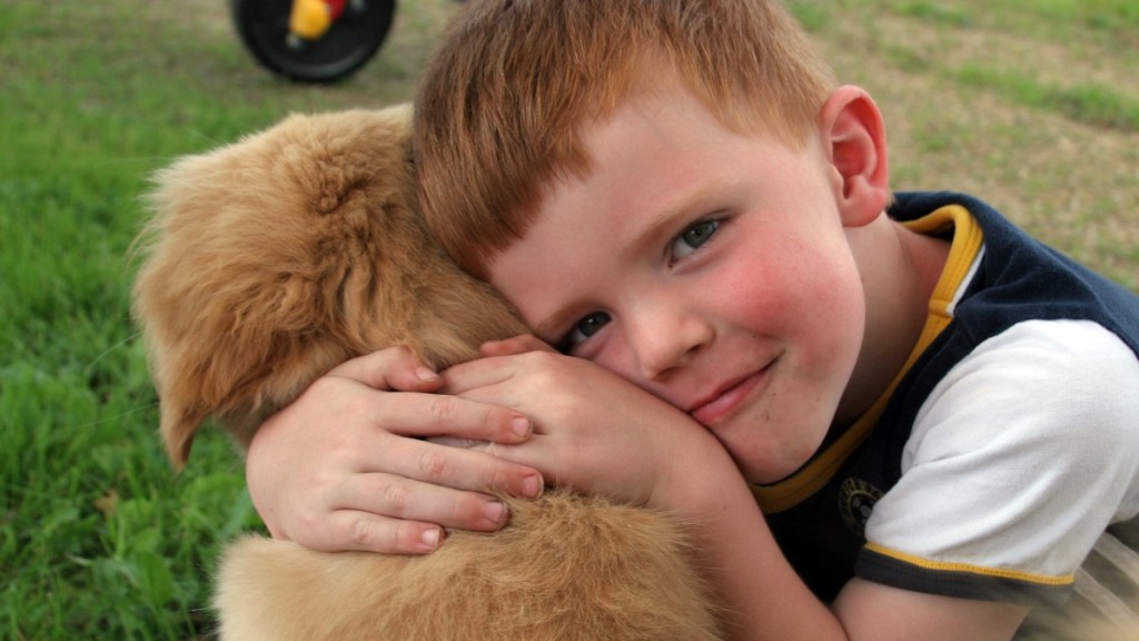 Ein Junge umarmt einen Golden-Retriever-Welpen.