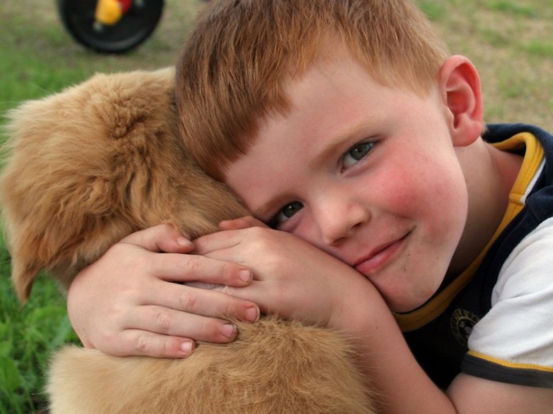 Ein Junge umarmt einen Golden-Retriever-Welpen.