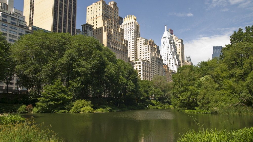 Blick vom New Yorker Central Park auf angrenzende Hochhäuser.