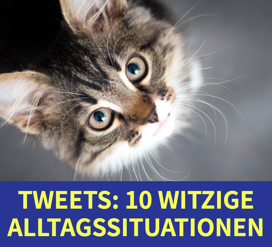 Tweets: 10 witzige Alltagssituationen