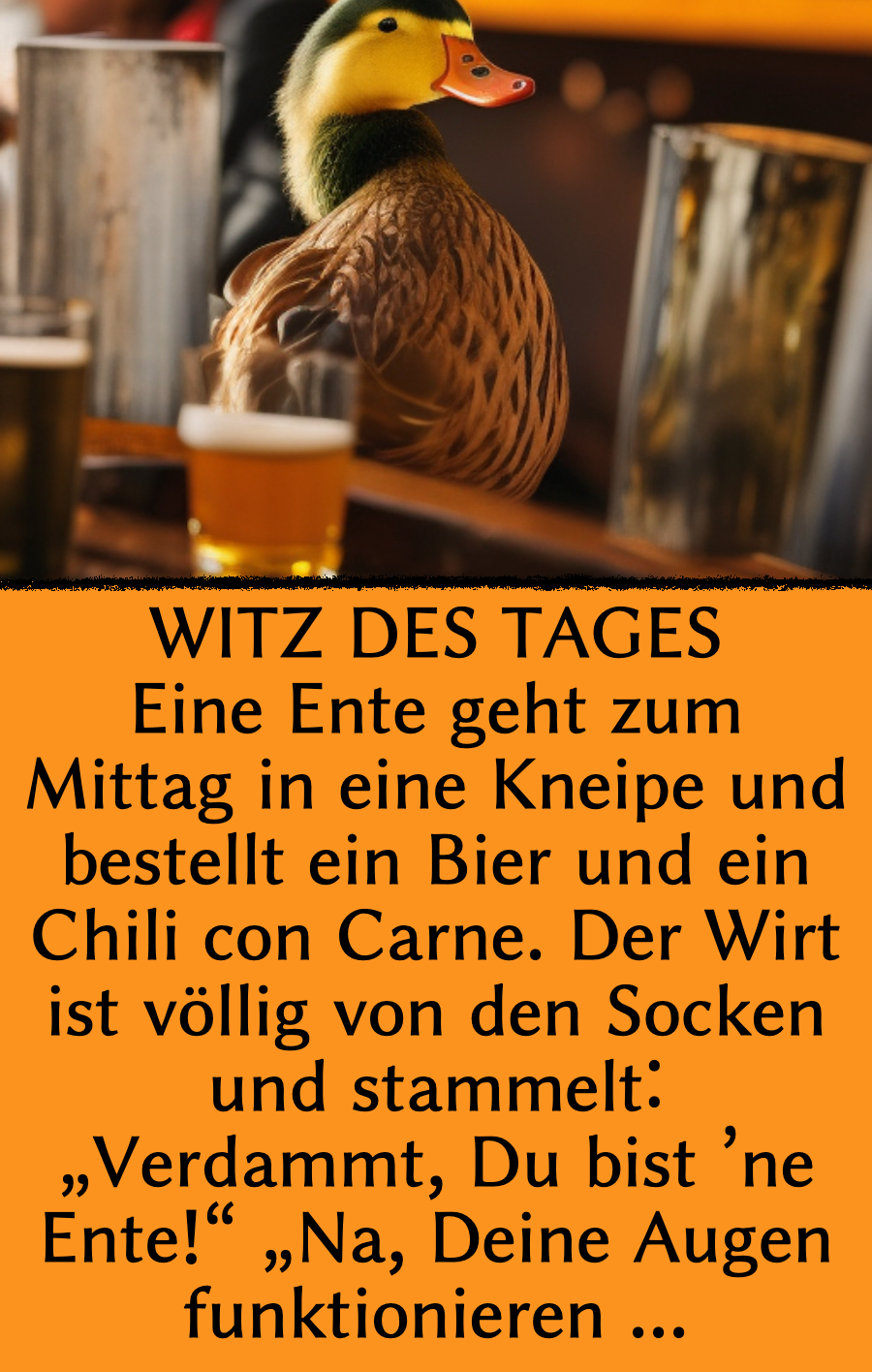 Witz des Tages: Ente bestellt Bier in Kneipe