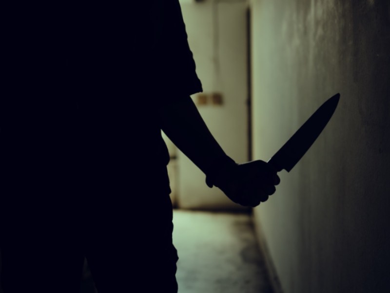 Horror in den Wänden: Familie entdeckt gefährlichen Eindringling
