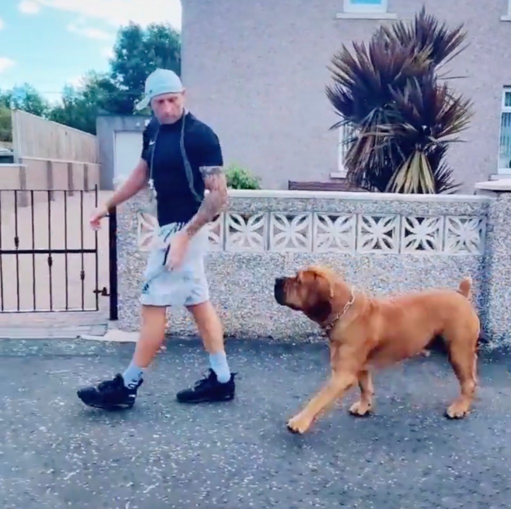 Ein Mann geht mit seinem Hund spazieren.